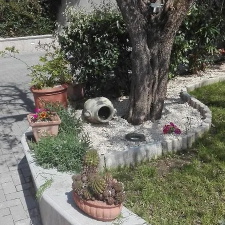 Il Ponte Dei Sogni *