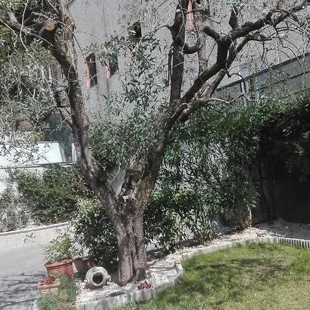 Il Ponte Dei Sogni Sulzano