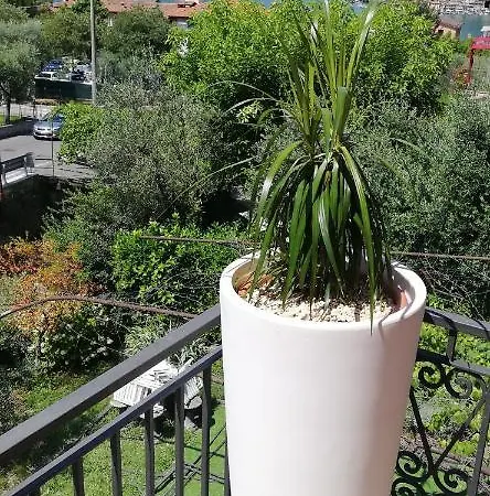 Il Ponte Dei Sogni Apartment *